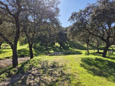 Sierra Morena Doğal Parkı, Andujar 'dan yürüyüş rotası