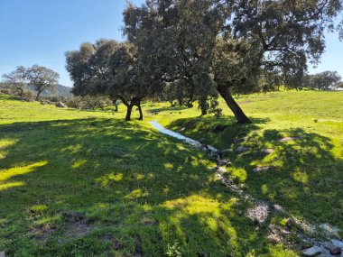 Sierra Morena Doğal Parkı, Andujar 'dan yürüyüş rotası