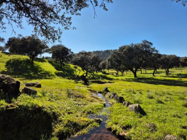 Sierra Morena Doğal Parkı, Andujar 'dan yürüyüş rotası