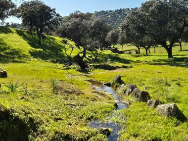Sierra Morena Doğal Parkı, Andujar 'dan yürüyüş rotası