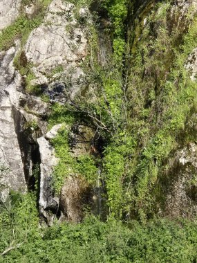 Sierra Morena Doğal Parkı, Andujar 'dan yürüyüş rotası
