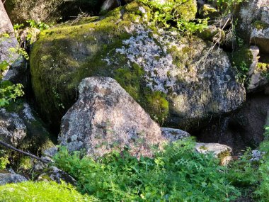 Sierra Morena Doğal Parkı, Andujar 'dan yürüyüş rotası
