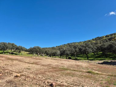 Sierra Morena Doğal Parkı, Andujar