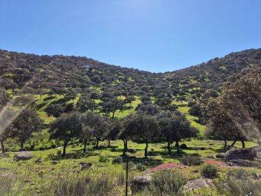 Sierra Morena Doğal Parkı, Andujar