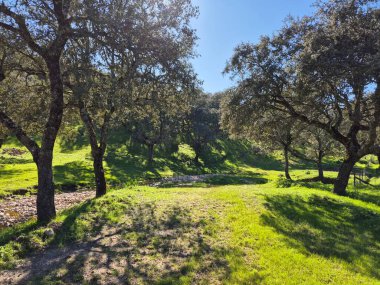 Sierra Morena Doğal Parkı, Andujar