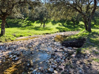 Sierra Morena Doğal Parkı, Andujar