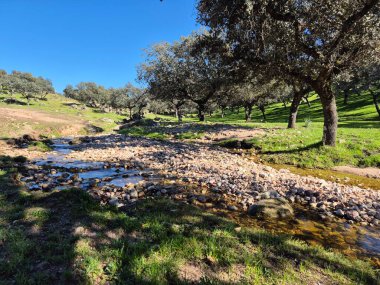 Sierra Morena Doğal Parkı, Andujar