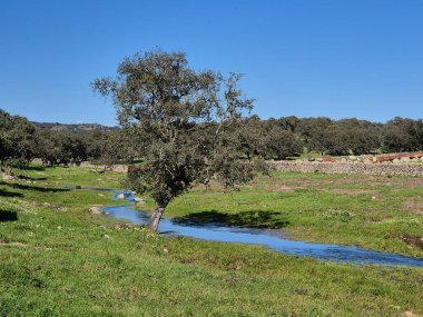 Sierra Morena Doğal Parkı, Andujar