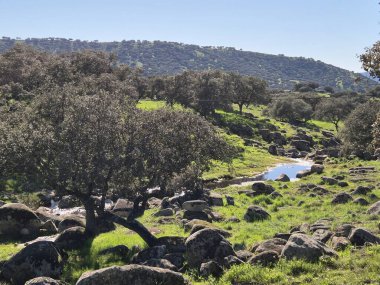 Sierra Morena Doğal Parkı, Andujar