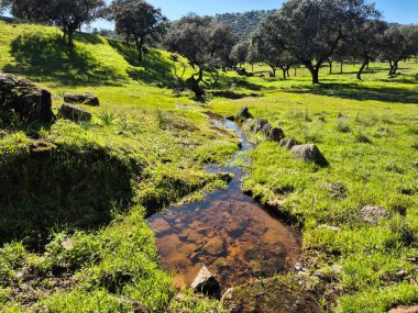 Sierra Morena Doğal Parkı, Andujar