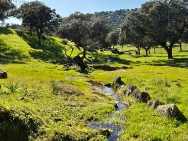 Sierra Morena Doğal Parkı, Andujar