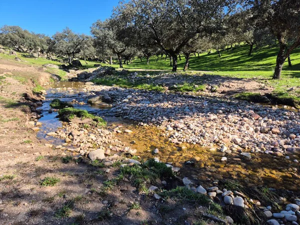 Sierra Morena Doğal Parkı, Andujar