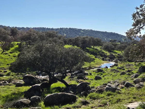Sierra Morena Doğal Parkı, Andujar