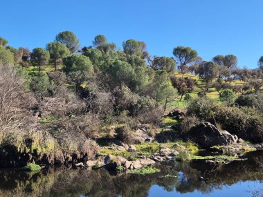 Sierra Morena Doğal Parkı, Andujar