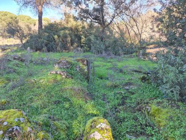Sierra Morena Doğal Parkı, Andujar