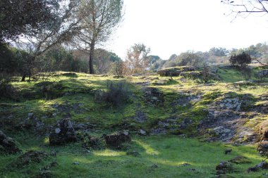Sierra Morena Doğal Parkı, Andujar