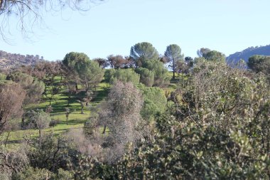 Sierra Morena Doğal Parkı, Andujar