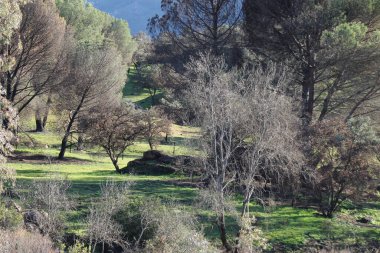 Sierra Morena Doğal Parkı, Andujar