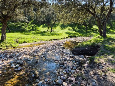 Sierra Morena Doğal Parkı, Andujar - 2025