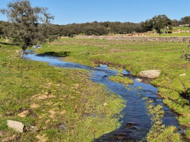 Sierra Morena Doğal Parkı, Andujar - 2025