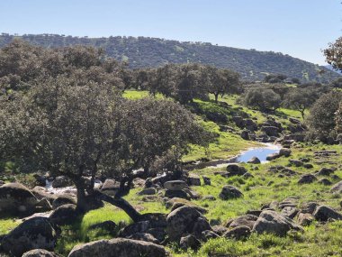Sierra Morena Doğal Parkı, Andujar - 2025