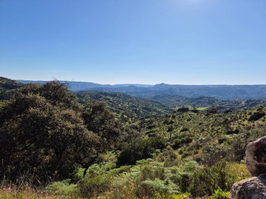 Sierra Morena Doğal Parkı, Andujar - 2025