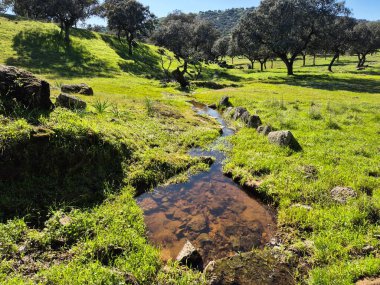 Sierra Morena Doğal Parkı, Andujar - 2025