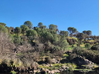 Sierra Morena Doğal Parkı, Andujar - 2024