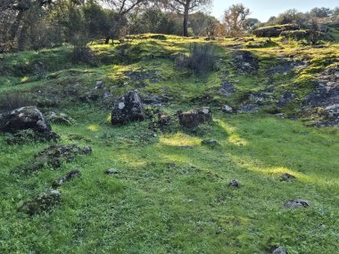 Sierra Morena Doğal Parkı, Andujar - 2024