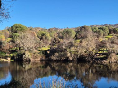 Sierra Morena Doğal Parkı, Andujar - 2024