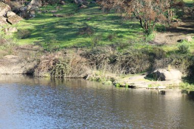 Sierra Morena Doğal Parkı, Andujar - 2024