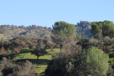 Sierra Morena Doğal Parkı, Andujar - 2024