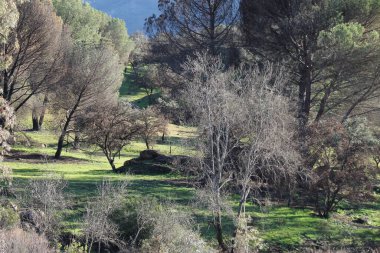 Sierra Morena Doğal Parkı, Andujar - 2024