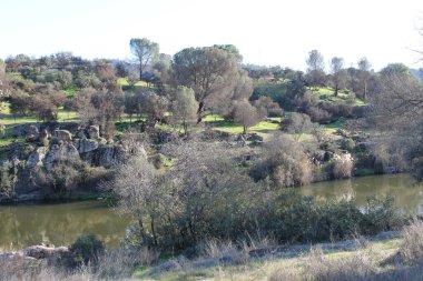 Sierra Morena Doğal Parkı, Andujar - 2024