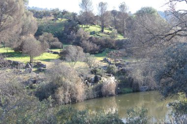 Sierra Morena Doğal Parkı, Andujar - 2024