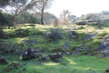 Sierra Morena Doğal Parkı, Andujar - 2024