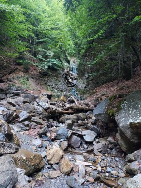 Ordesa ve Monte Perdido Ulusal Parkı 'nda yürüyüş rotası - 2024