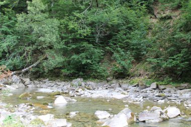 Ordesa ve Monte Perdido Ulusal Parkı 'nda yürüyüş rotası - 2024