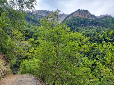 Ordesa ve Monte Perdido Ulusal Parkı 'nda yürüyüş rotası - 2024