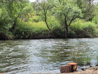 Encinarejo Reservoir ve Jandula Nehri Doğal Alanı, Andujar - 2025