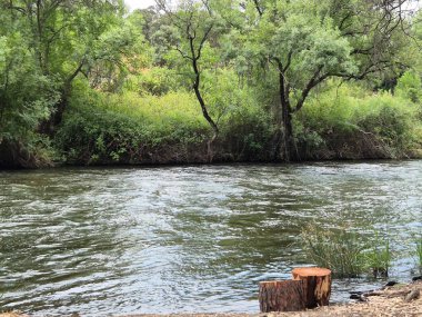 Encinarejo Reservoir ve Jandula Nehri Doğal Alanı, Andujar - 2025