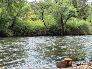 Encinarejo Reservoir ve Jandula Nehri Doğal Alanı, Andujar - 2025