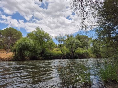 Encinarejo Reservoir ve Jandula Nehri Doğal Alanı, Andujar - 2025
