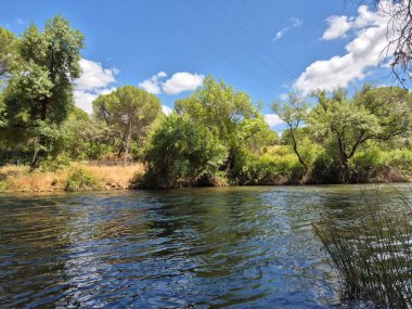 Encinarejo Reservoir ve Jandula Nehri Doğal Alanı, Andujar - 2025