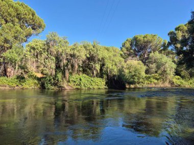 Encinarejo Reservoir ve Jandula Nehri Doğal Alanı, Andujar - 2025