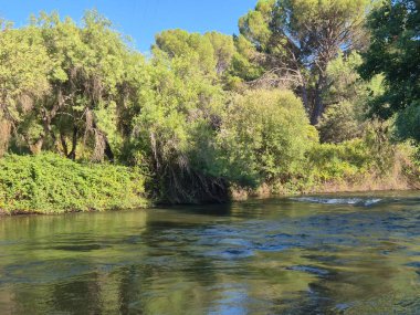 Encinarejo Reservoir ve Jandula Nehri Doğal Alanı, Andujar - 2025