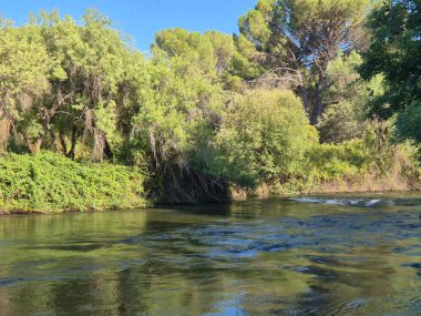 Encinarejo Reservoir ve Jandula Nehri Doğal Alanı, Andujar - 2025