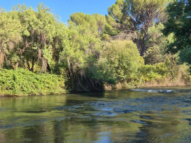 Encinarejo Reservoir ve Jandula Nehri Doğal Alanı, Andujar - 2025