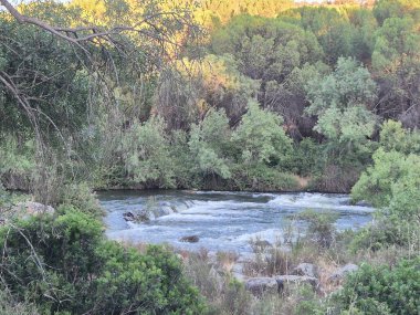 Encinarejo Reservoir ve Jandula Nehri Doğal Alanı, Andujar - 2025
