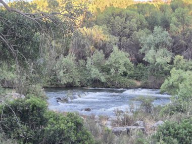 Encinarejo Reservoir ve Jandula Nehri Doğal Alanı, Andujar - 2025